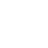 Vision icon